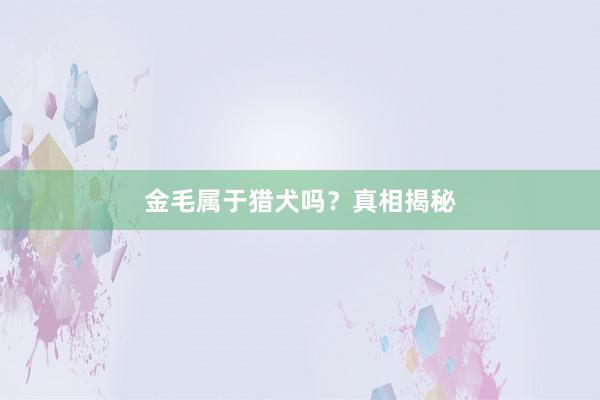 金毛属于猎犬吗?真相揭秘