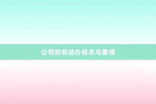 公司财务惩办技术与要领